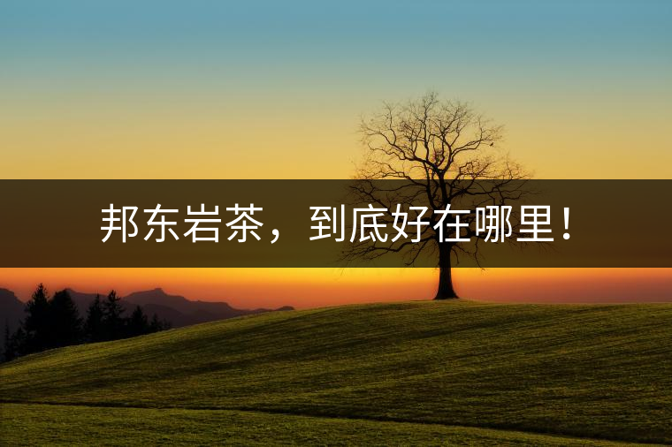 邦東巖茶，到底好在哪里！