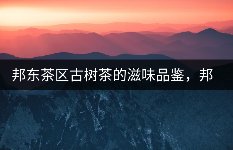 邦東茶區(qū)古樹茶的滋味品鑒，邦東普洱茶特點(diǎn)