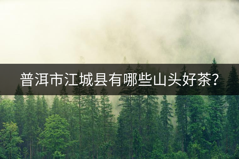 普洱市江城縣有哪些山頭好茶？