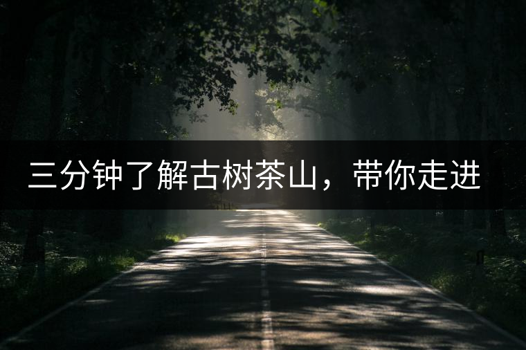 三分鐘了解古樹(shù)茶山，帶你走進(jìn)西蒙佛殿山