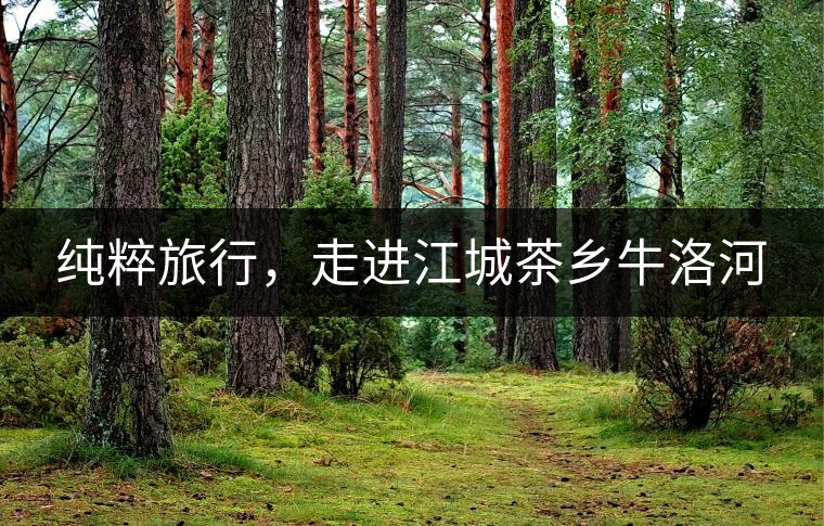 純粹旅行，走進江城茶鄉(xiāng)牛洛河