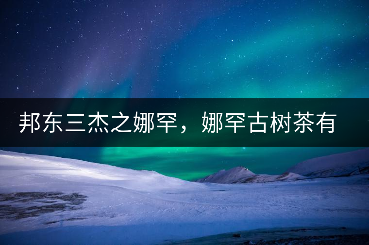 邦東三杰之娜罕，娜罕古樹茶有什么特點？