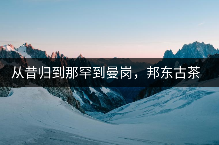 從昔歸到那罕到曼崗，邦東古茶藏著一條規(guī)律！
