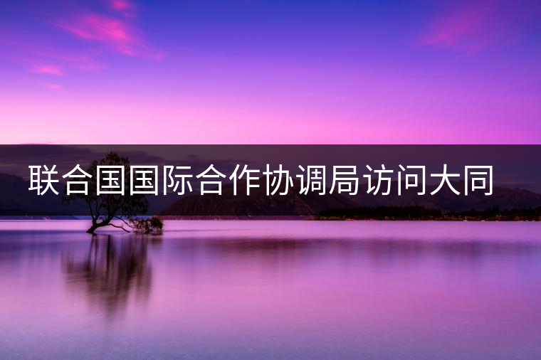 聯(lián)合國國際合作協(xié)調(diào)局訪問大同世界總部 聯(lián)合國國際合作協(xié)調(diào)局訪問大同世界總部