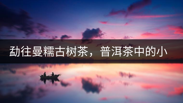 勐往曼糯古樹(shù)茶，普洱茶中的小班章