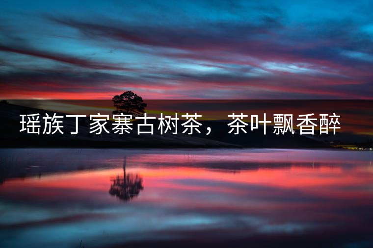 瑤族丁家寨古樹茶，茶葉飄香醉萬家
