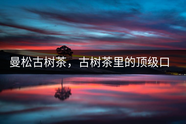 曼松古樹茶，古樹茶里的頂級(jí)口感