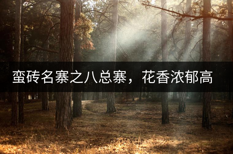 蠻磚名寨之八總寨，花香濃郁高揚(yáng)