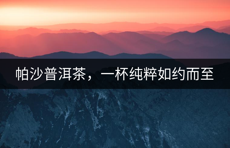 帕沙普洱茶，一杯純粹如約而至