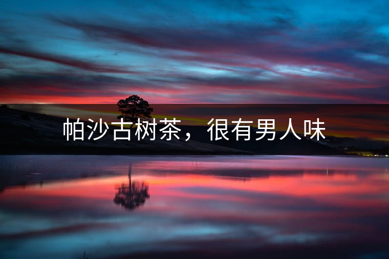 帕沙古樹茶，很有男人味