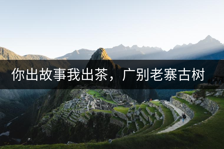 你出故事我出茶，廣別老寨古樹妖茶