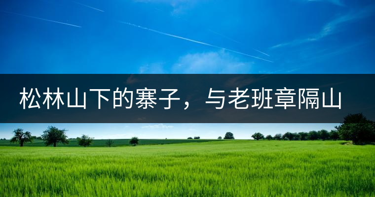 松林山下的寨子，與老班章隔山相望的廣別老寨