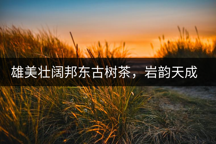 雄美壯闊邦東古樹茶，巖韻天成甘香鮮靈