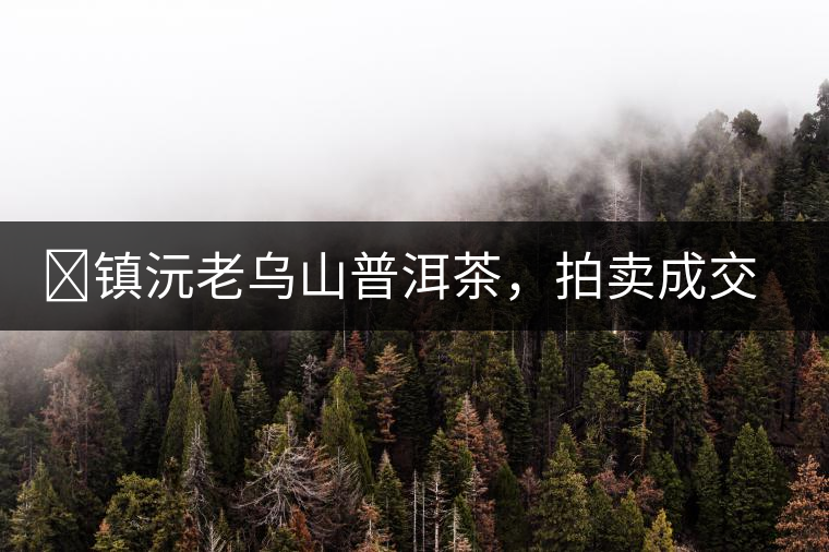 ?鎮(zhèn)沅老烏山普洱茶，拍賣成交價再創(chuàng)新高