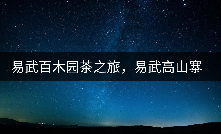 易武百木園茶之旅，易武高山寨古茶山