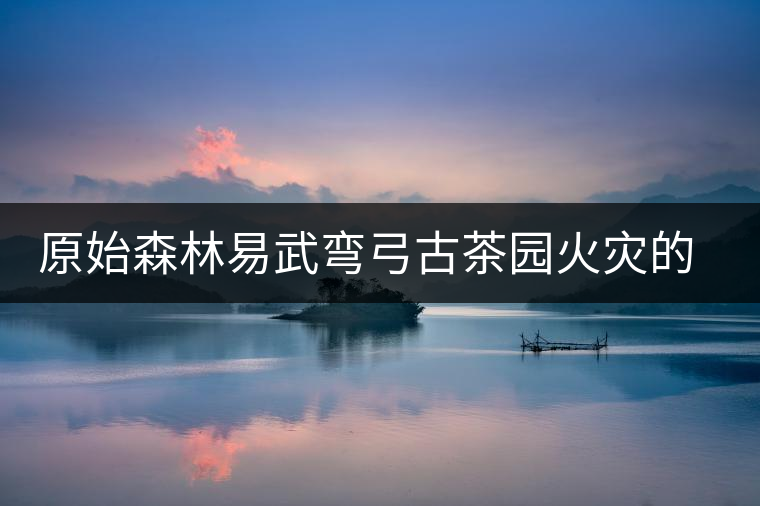 原始森林易武彎弓古茶園火災(zāi)的警醒