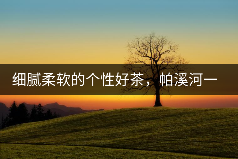 細膩柔軟的個性好茶，帕溪河一扇磨古樹茶