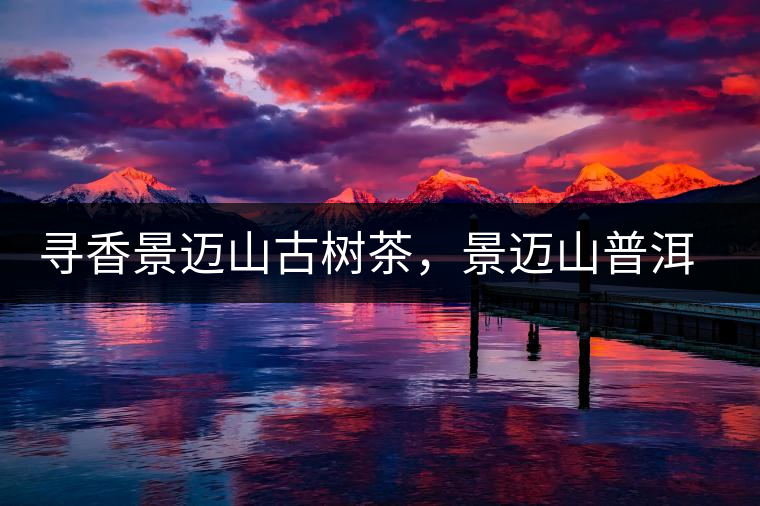 尋香景邁山古樹茶，景邁山普洱茶特點(diǎn)介紹