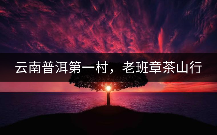 云南普洱第一村，老班章茶山行