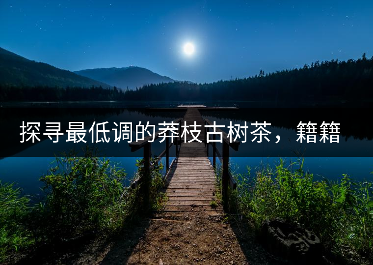 探尋最低調(diào)的莽枝古樹茶，籍籍無名出好茶