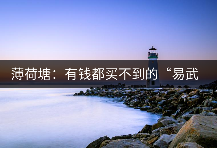 薄荷塘：有錢都買不到的“易武貴胄”，卓爾不群，無茶可及