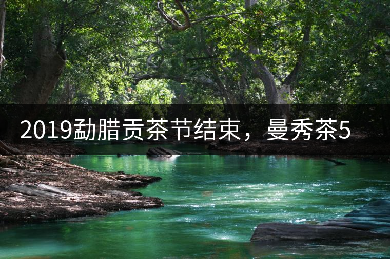 2019勐臘貢茶節(jié)結(jié)束，曼秀茶5公斤107萬奪得金獎