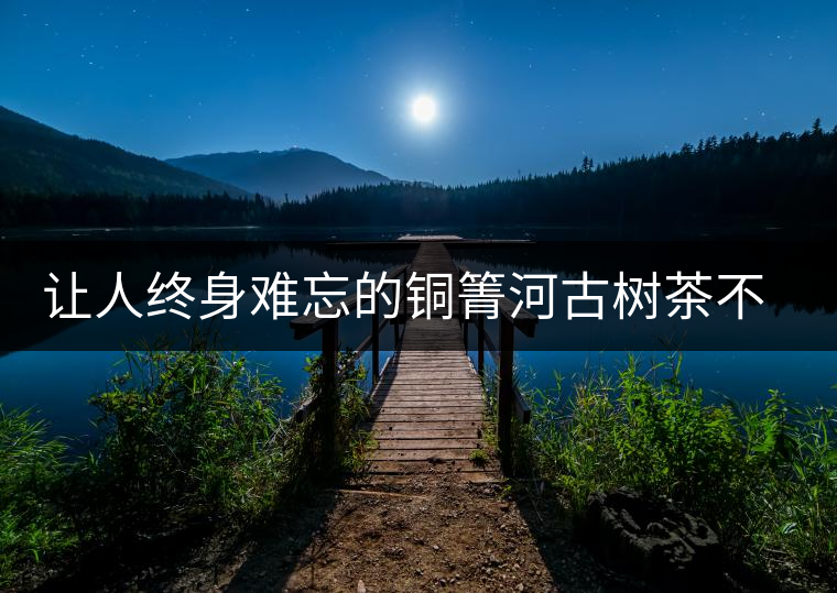 讓人終身難忘的銅箐河古樹茶不僅僅只有他的巔峰口感