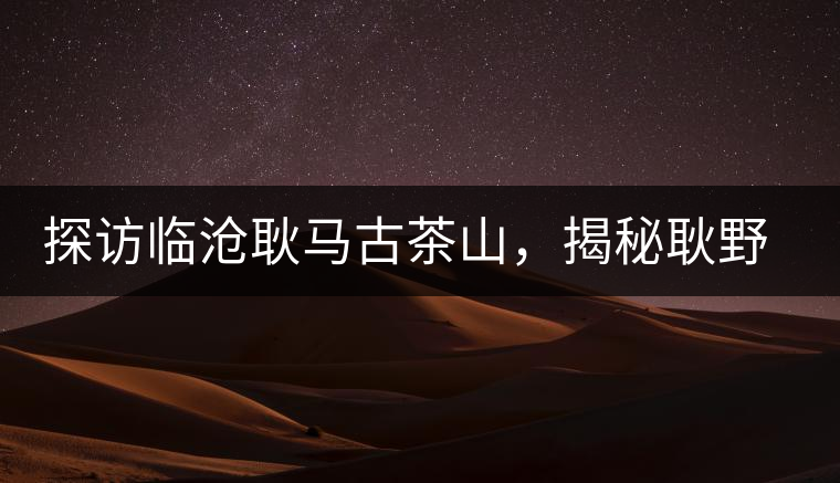 探訪臨滄耿馬古茶山，揭秘耿野生古茶樹群落