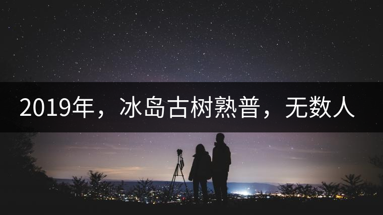 2019年，冰島古樹熟普，無數(shù)人在尋找