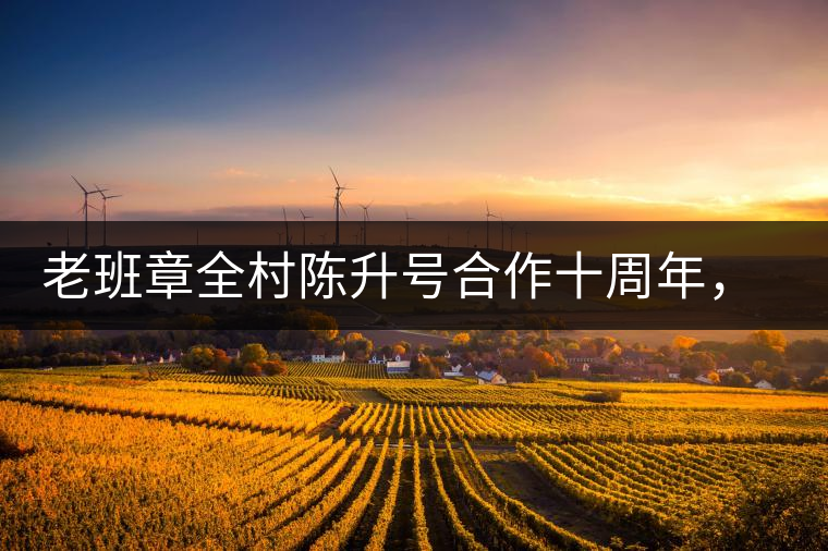 老班章全村陳升號合作十周年，贈送千兩百家茶