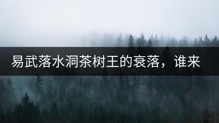 易武落水洞茶樹王的衰落，誰來關(guān)注古樹茶？