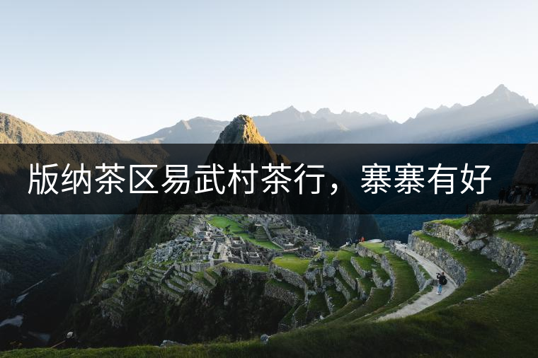 版納茶區(qū)易武村茶行，寨寨有好茶處處古茶香