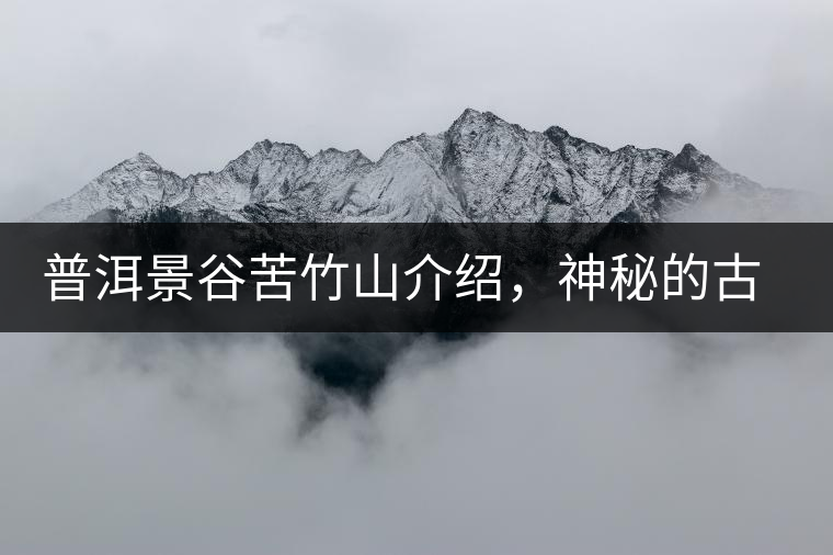 普洱景谷苦竹山介紹，神秘的古樹(shù)普洱茶原產(chǎn)地