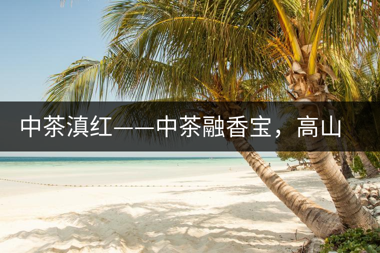 中茶滇紅——中茶融香寶，高山烏龍茶