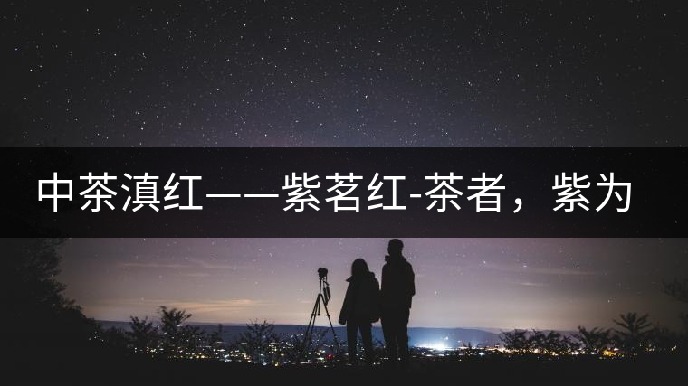中茶滇紅——紫茗紅-茶者，紫為上