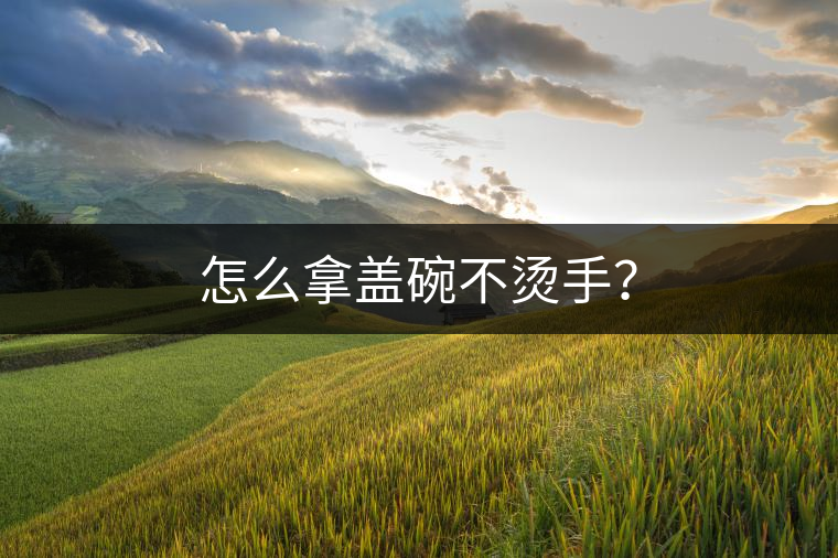 怎么拿蓋碗不燙手？