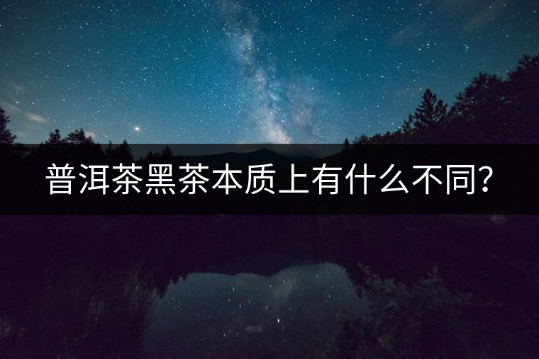 普洱茶黑茶本質(zhì)上有什么不同？