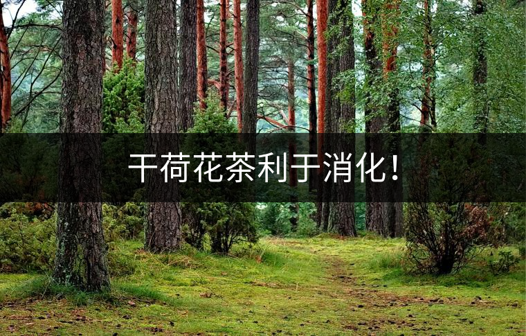 干荷花茶利于消化！