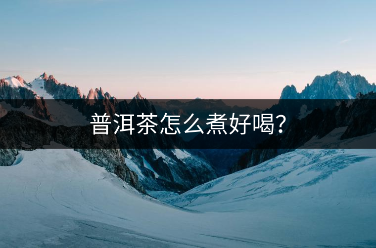 普洱茶怎么煮好喝？
