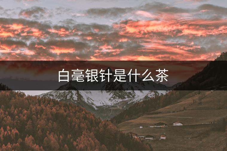 白毫銀針是什么茶