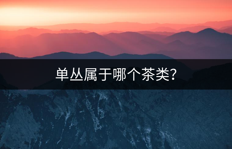 單叢屬于哪個(gè)茶類？