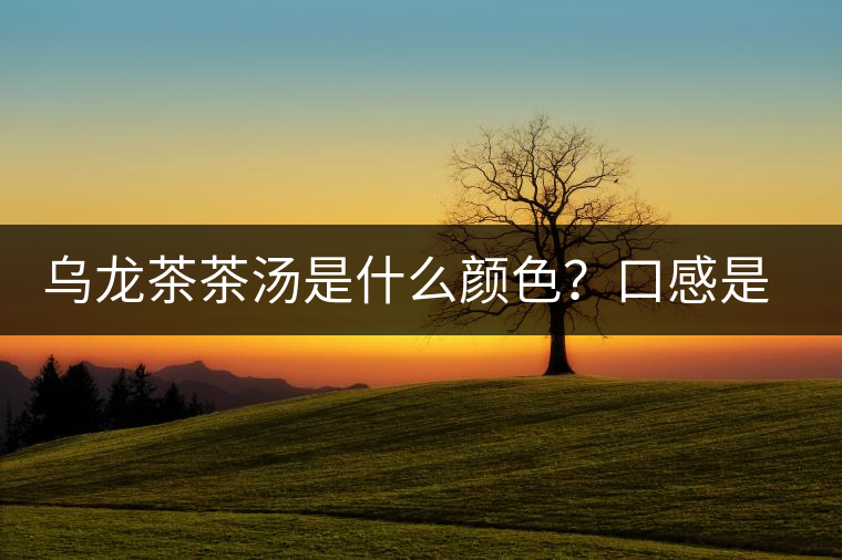 烏龍茶茶湯是什么顏色？口感是什么？