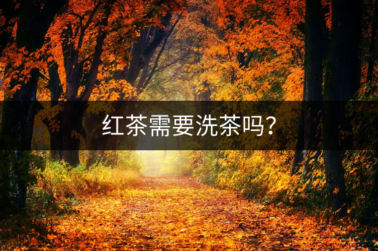 紅茶需要洗茶嗎？