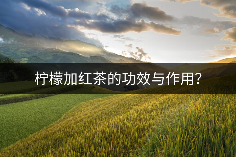 檸檬加紅茶的功效與作用？