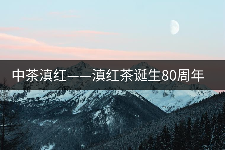 中茶滇紅——滇紅茶誕生80周年紀(jì)念