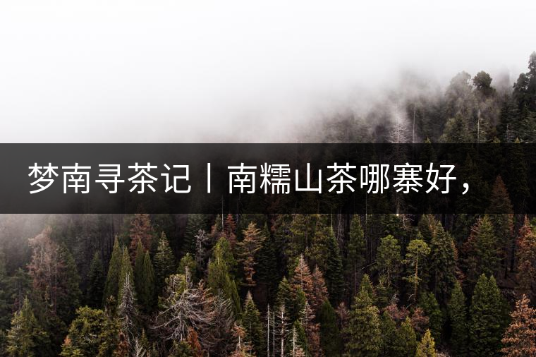 夢(mèng)南尋茶記丨南糯山茶哪寨好，半坡老寨數(shù)第一