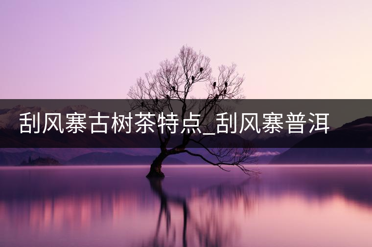 刮風(fēng)寨古樹(shù)茶特點(diǎn)_刮風(fēng)寨普洱茶口感