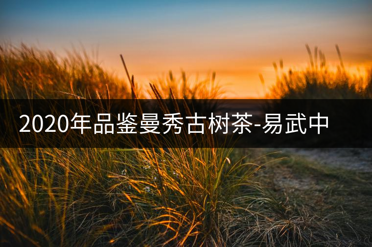 2020年品鑒曼秀古樹(shù)茶-易武中聘號(hào)
