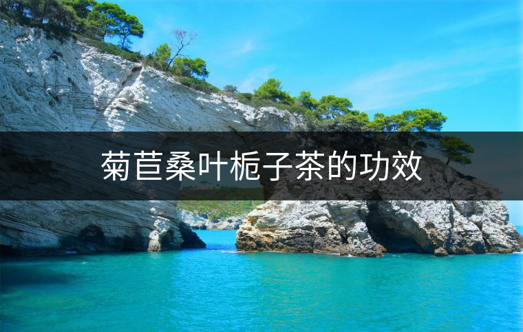 菊苣桑葉梔子茶的功效