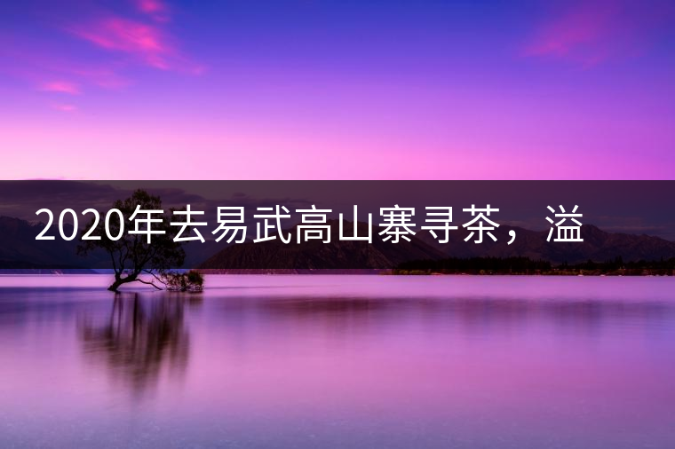 2020年去易武高山寨尋茶，溢滿茶香的古樹寨子-易武中聘號